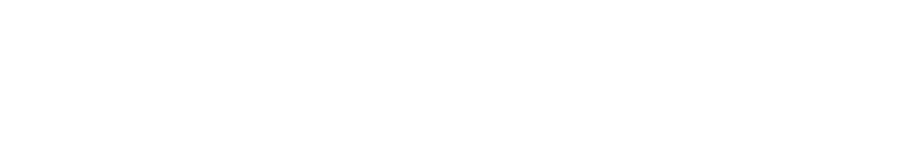 LOGO-_-WORDMARK-wide-white.png